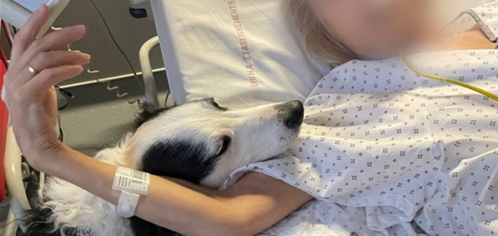 mediation-animal-effet-secondaire-chimio-1024x486 Lila et la Médiation Animale : Un Souffle de Bien-être au Cœur de l'Oncologie