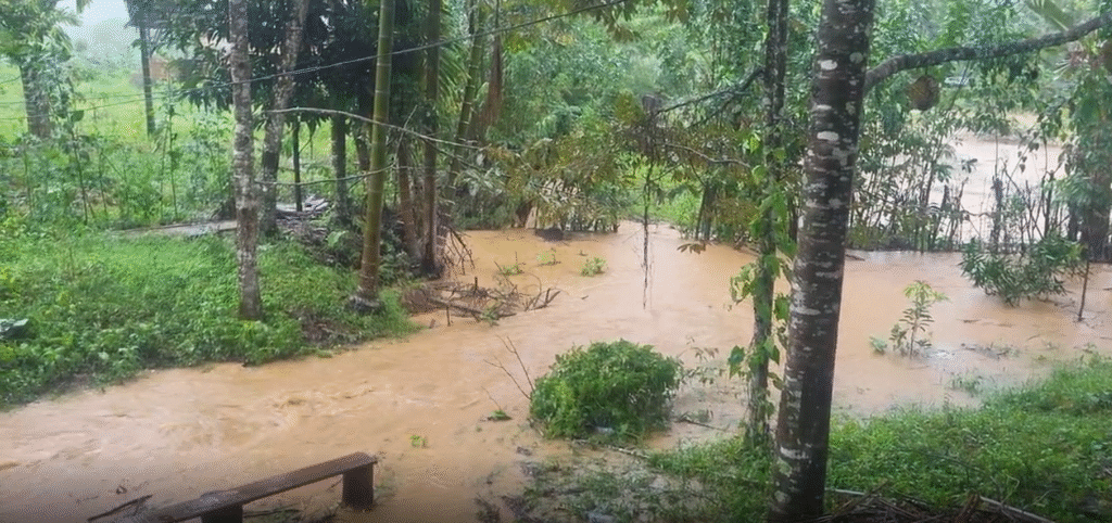 Capture-decran-2025-12-04-142530-1024x482 Inondations à Aceh : le témoignage bouleversant de Robin Comito, membre de Harapan di Gajah au cœur du désastre