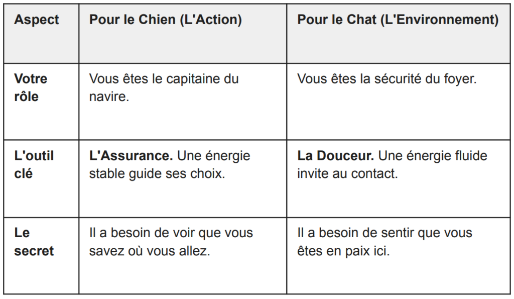 Capture-decran-2026-03-12-111806-1024x595 Au-delà des mots : L’impact de votre énergie sur votre chien et votre chat